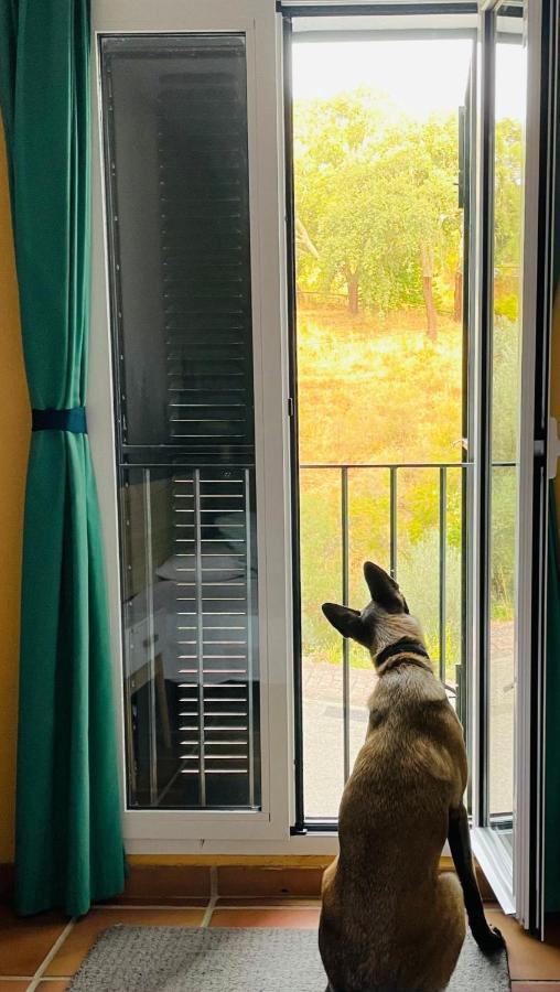 Casa Rural Una Ventana A La Montana Aracena Bagian luar foto